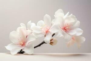 AI Generated Macro springtime blossoming flora blooming closeup white fresh plant beauty botany tree photo