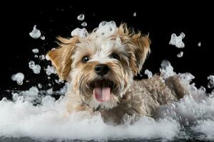 AI Generated Purebred dog nature water outside fun pet happy beautiful puppy mammal domestic white photo