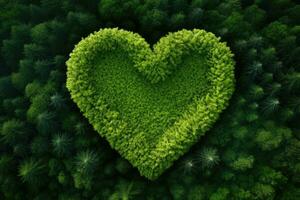 ai generado primavera forma corazón concepto símbolo crecimiento campo amor césped romance planta verde día foto