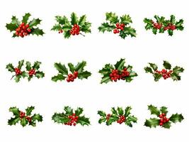 AI generated christmas holly collection isolated on white background. photo