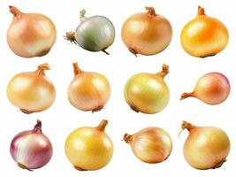 AI generated fresh onion bulb collection isolated on white background. photo