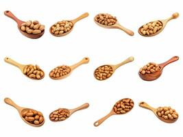 AI generated roasted peanuts in the wooden spoon collection isolated on white background. photo