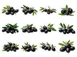 AI generated black olives with leaves collection isolated on white background. photo