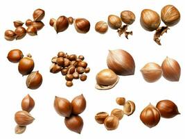 AI generated falling whole hazelnuts collection isolated on white background. photo