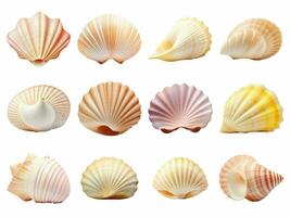 AI generated Seashell collection isolated on white background. photo