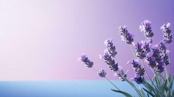 AI Generated Field flower color blue background nature blossom france purple herb aroma aromatherapy photo