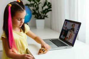 alegre joven pequeño niña con un mascota hámster utilizando ordenador portátil computadora estudiando mediante en línea e-learning sistema a hogar. distancia o remoto aprendizaje foto