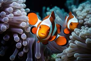 ai generado submarino pez anémona anémona naranja coral pescado macro agua Oceano payaso pez payaso salvaje foto