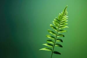 AI Generated Macro tropical fern plant background foliage texture nature green spring closeup garden photo