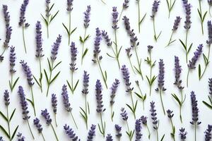 ai generado fragancia flores planta herbario floración púrpura hierba lavanda aromaterapia botánico foto