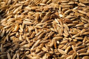ai generado grano antecedentes semilla hierba seco comino orgánico de cerca especia textura aroma ingrediente foto