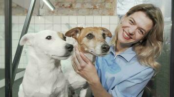 Cheerful female vet smiling to the camera while petting cute dogs video