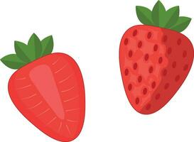 Strawberry fruit whole and half cut illustration vector