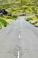 an empty road with yellow flowers and rocks photo