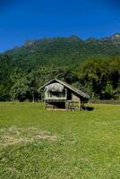 an old wooden hut in the middle of a field photo