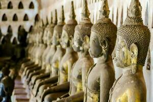 many buddha statues are lined up in a row photo