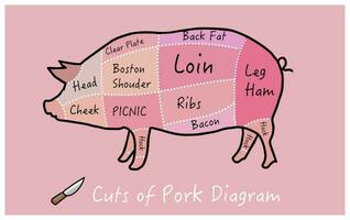 butcher cut main cuts of pork vector