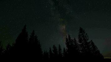 Zeit Ablauf von das milchig Weg Galaxis bewegt sich Über ein Wald auf ein sternenklar Nacht. Epos Video 4k