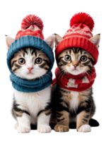 AI generated A close-up image of a cute kitten. Ai-generated. png