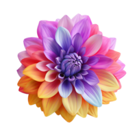 AI generated 3d style colourful flower png