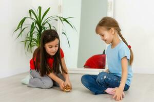 two little girls play with a hamster photo