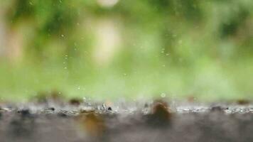 lento movimento 4x pesado chuva, meio Ambiente e clima mudança conceito. video