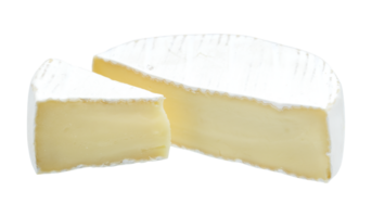 Brie oder Camambert Käse png