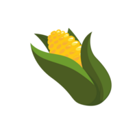 blé Frais légumes, illustration png