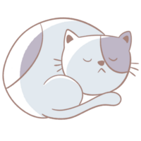 a sleeping cat on a transparent background png