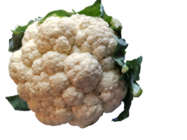 a fresh vegetable cauliflower fulkopi at home, a sturdy wooden countertop, its snow-white curds nestled within a canopy of leafy green stems png