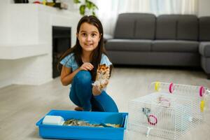 Little girl laughing and watching her hamster photo