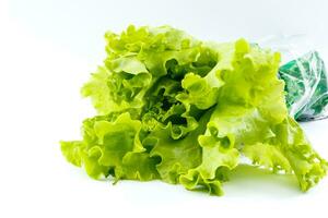 fresh lettuce isolated on white background photo