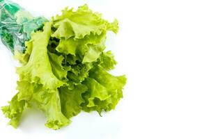 fresh lettuce isolated on white background photo