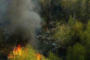 Wildfire near houses, view from the apartment window photo