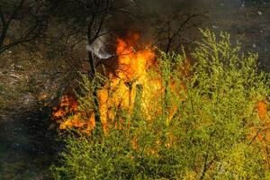 fuego fatuo cerca casas, ver desde el Departamento ventana foto