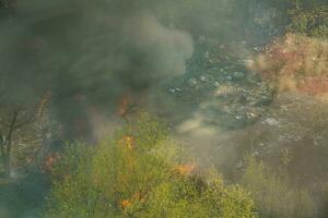 Fire in the field near the city Kyiv, Ukraine. photo