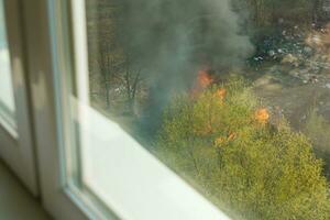 Wildfire near houses, view from the apartment window photo