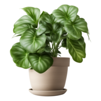 AI generated Green Potted Plant Isolated on Transparent Background png