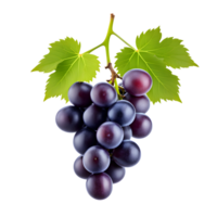 AI generated Grape Bunch Isolated on Transparent Background png