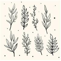 Doodle lineart of different tree leaves. background with cream color vector