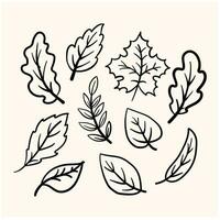 Doodle lineart of different tree leaves. background with cream color vector