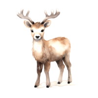 AI generated Watercolor Christmas Deer. Clipart. AI generated. png