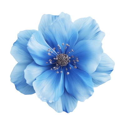 Blue Flower PNGs for Free Download