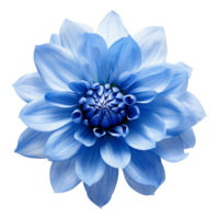 AI generated Blue flower isolated on Transparent background png