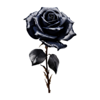 ai generiert schwarz Rose isoliert auf transparent Hintergrund png