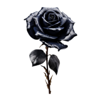 ai généré noir Rose isolé sur transparent Contexte png