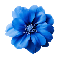 AI generated Blue flower isolated on Transparent background png