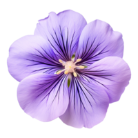 ai généré violet fleur isolé sur transparent Contexte png