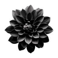 ai genererad svart blomma isolerat på transparent bakgrund png