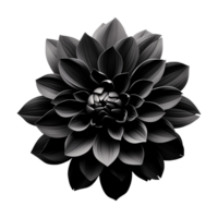 ai generado negro flor aislado en transparente antecedentes png